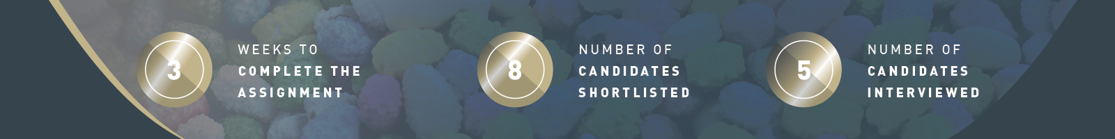 It took a number of 3 weeks to complete the assignment which accumulated 8 candidates that were shortlisted.