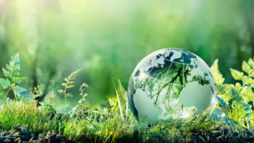 Glass globe on vibrant green moss in a forest setting.