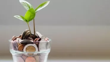 Small plant growing from a glass jar filled with coins, symbolizing financial growth.
