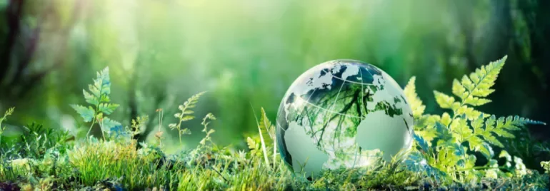 Glass globe on vibrant green moss in a forest setting.