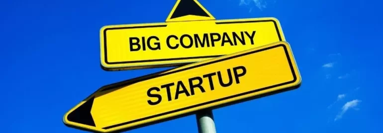 Signpost with arrows to Big Company and Startup.