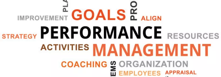 Word cloud with terms like performance, management, goals, strategy, and organization.