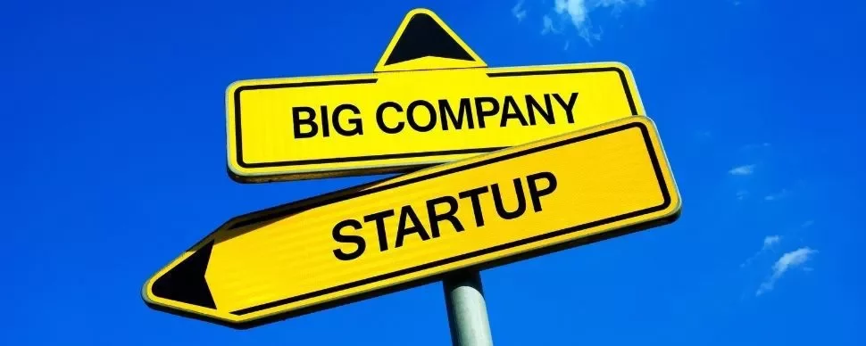 Signpost with arrows to Big Company and Startup.