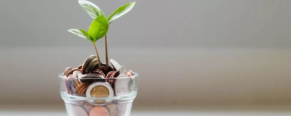Small plant growing from a glass jar filled with coins, symbolizing financial growth.